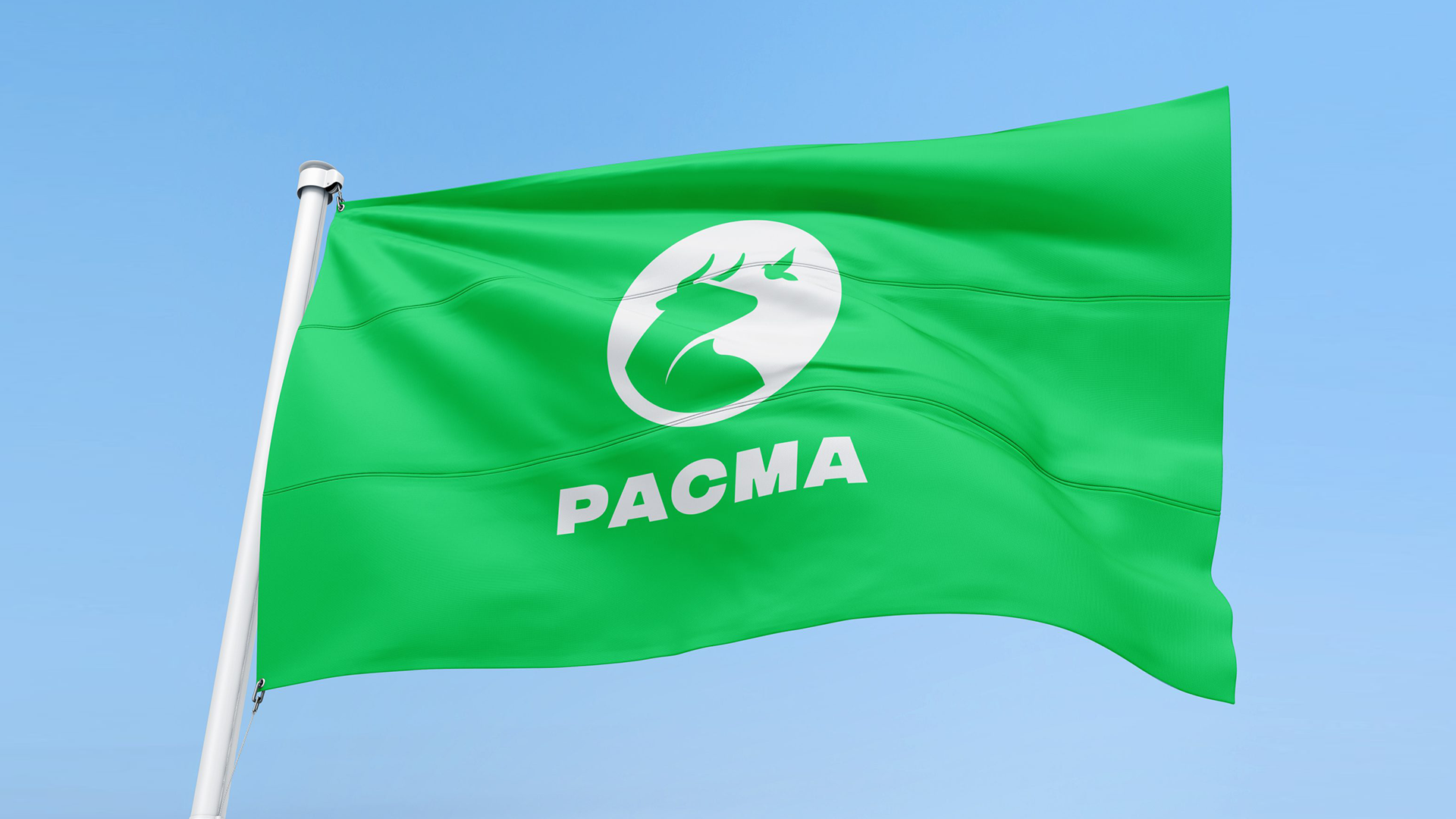 Pacma